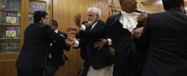 News from Nazihar It Solution Limited