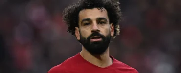 News from Nazihar It Solution Limited