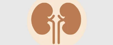 News from Nazihar It Solution Limited