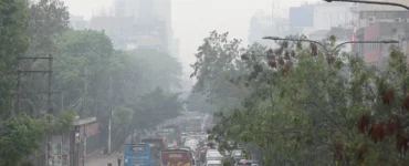 News from Nazihar It Solution Limited