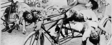 News from Nazihar It Solution Limited