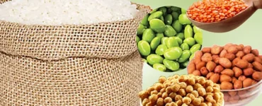 News from Nazihar It Solution Limited