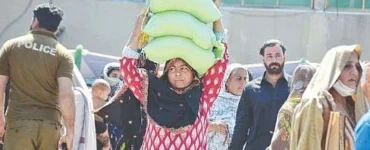 News from Nazihar It Solution