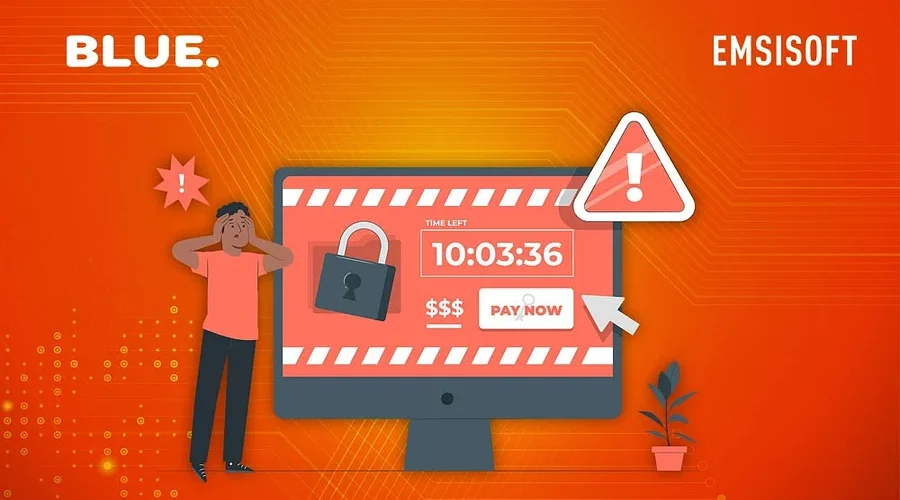 News from Nazihar It Solution Limited