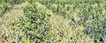 News from Nazihar It Solution Limited