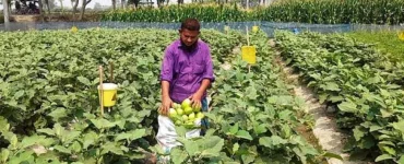 News from Nazihar It Solution Limited