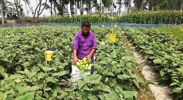 News from Nazihar It Solution Limited