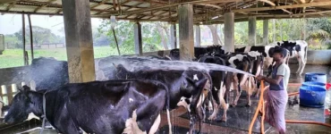 News from Nazihar It Solution Limited