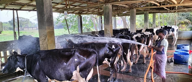 News from Nazihar It Solution Limited