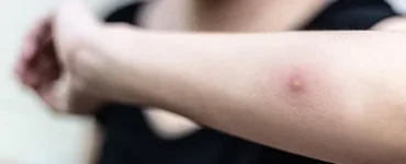 News from Nazihar It Solution Limited