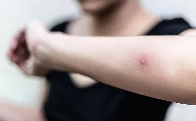 News from Nazihar It Solution Limited