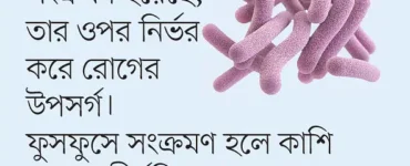 News from Nazihar It Solution Limited