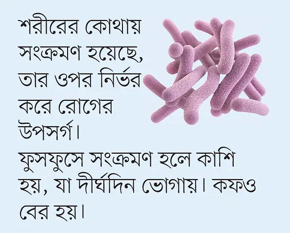 News from Nazihar It Solution Limited