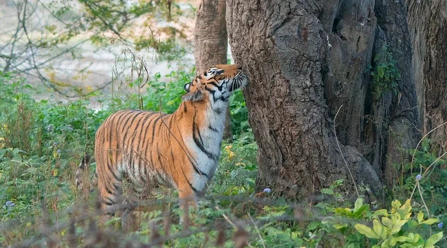 News from Nazihar It Solution Limited