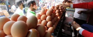 News from Nazihar It Solution