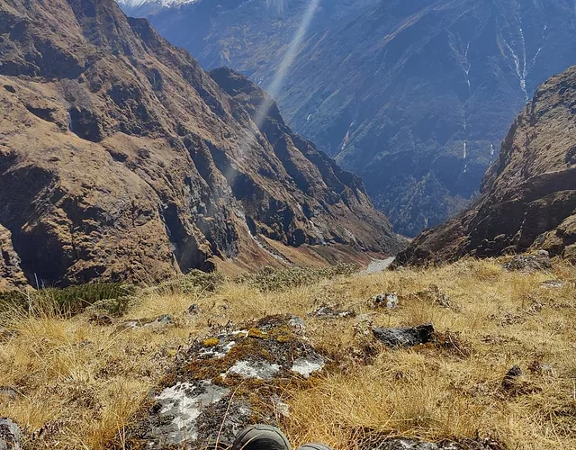 News from Nazihar It Solution Limited