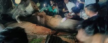 News frzom Nazihar It Solution