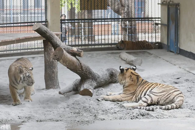 News from Nazihar It Solution