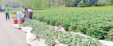 News from Nazihar It Solution