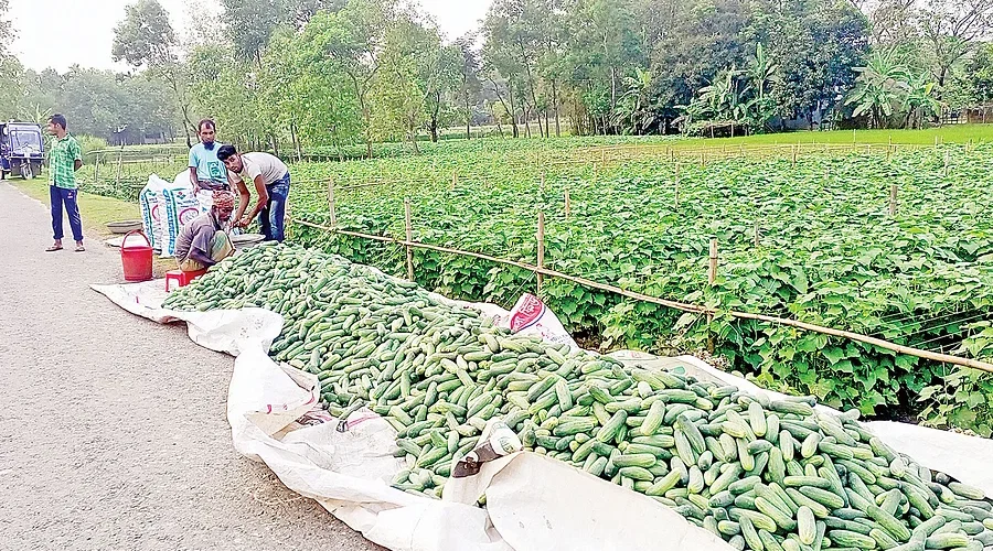 News from Nazihar It Solution