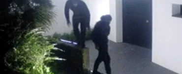 News from Nazihar It Solution