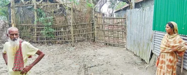 News from Nazihar It Solution