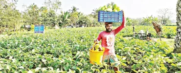 News from Nazihar It Solution