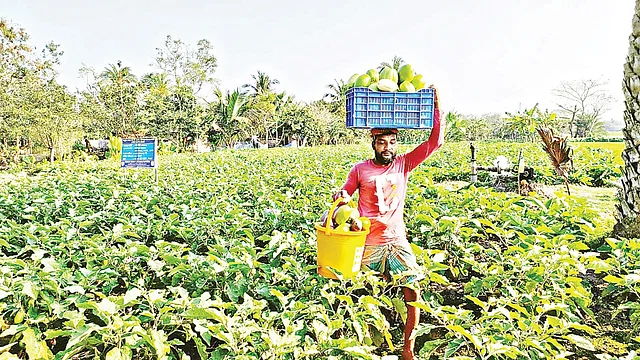 News from Nazihar It Solution