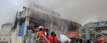 News frzom Nazihar It Solution