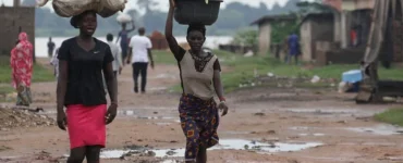 News from Nazihar It Solution