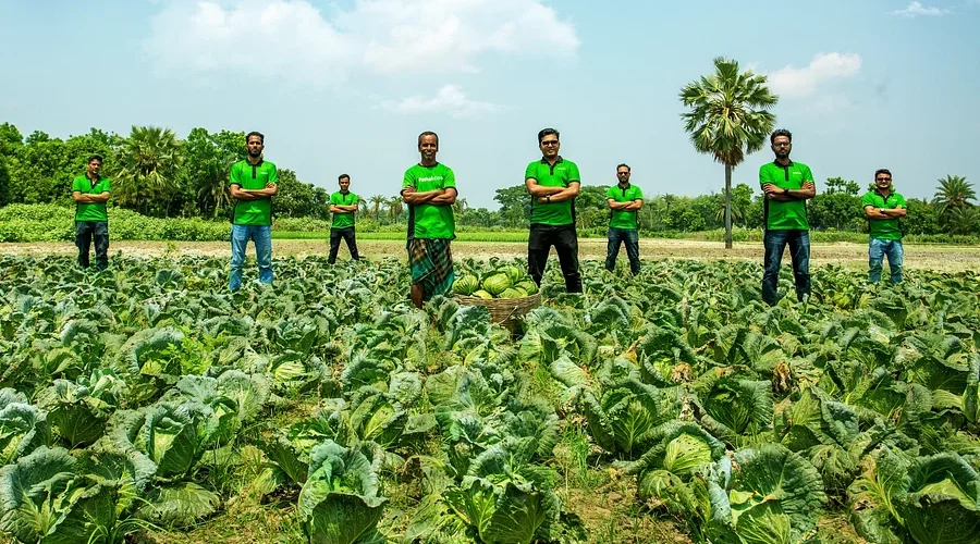 News frzom Nazihar It Solution