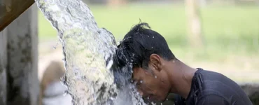 News frzom Nazihar It Solution