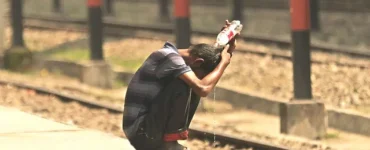 News frzom Nazihar It Solution