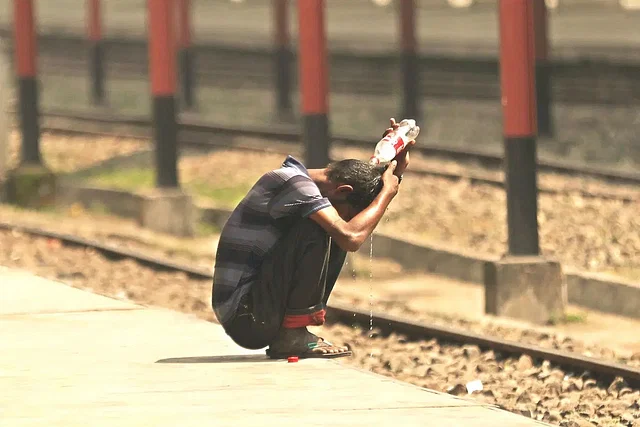 News frzom Nazihar It Solution