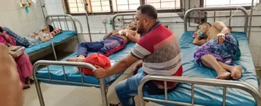 News frzom Nazihar It Solution