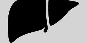 News from Nazihar It Solution