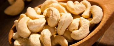 News from Nazihar It Solution