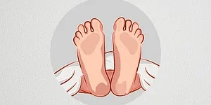 News frzom Nazihar It Solution