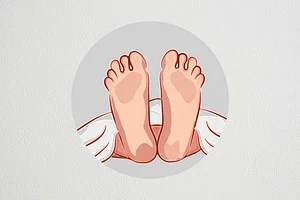 News frzom Nazihar It Solution