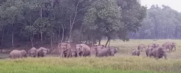 News frzom Nazihar It Solution