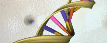 News frzom Nazihar It Solution