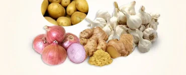 News frzom Nazihar It Solution