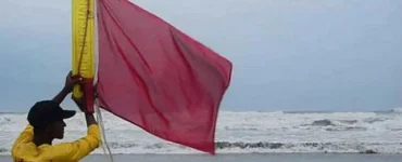 News frzom Nazihar It Solution