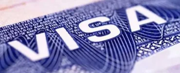 News from Nazihar It Solution