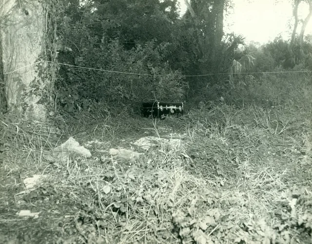 News from Nazihar It SolutionNews from Nazihar It Solution