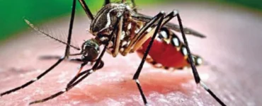 News from Nazihar It Solution