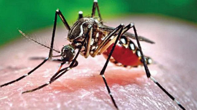 News from Nazihar It Solution