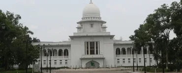 News from Nazihar It Solution