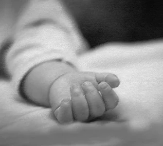 News from Nazihar It Solution