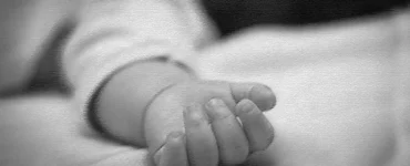 News from Nazihar It Solution